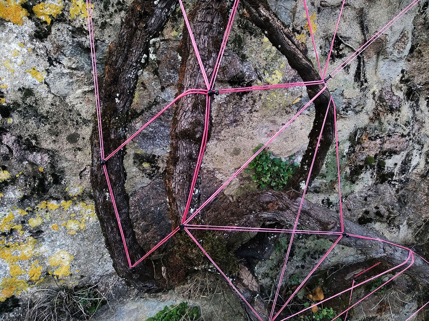 Pink elastic lines across weathered wooden panels