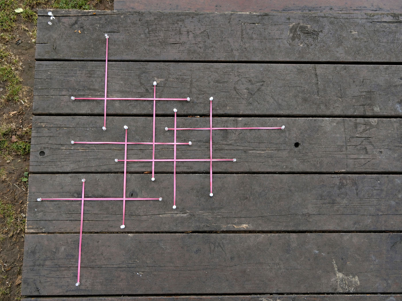 Pink elastic grid around a tree trunk