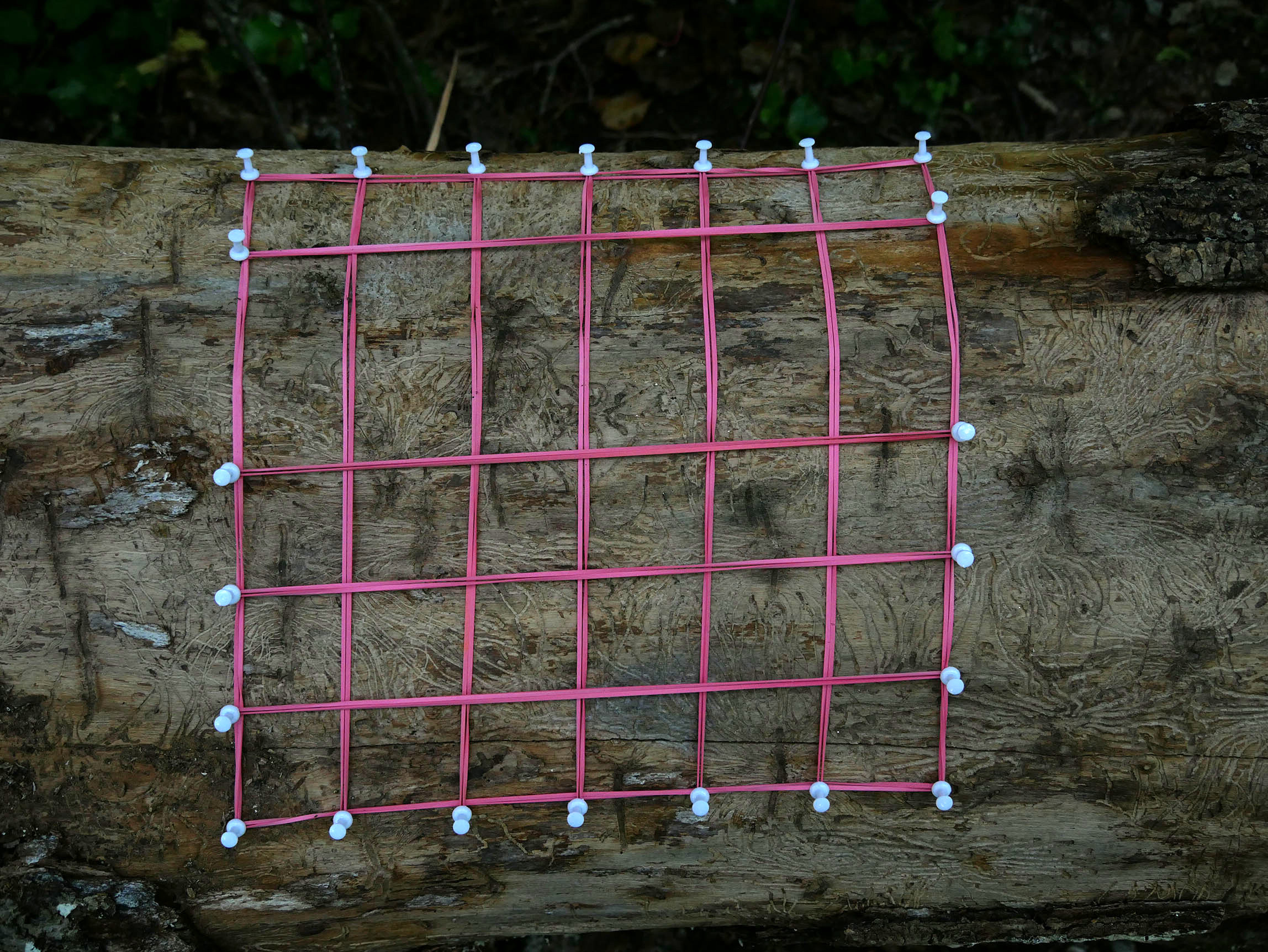 Geometric Figures — photograph 11