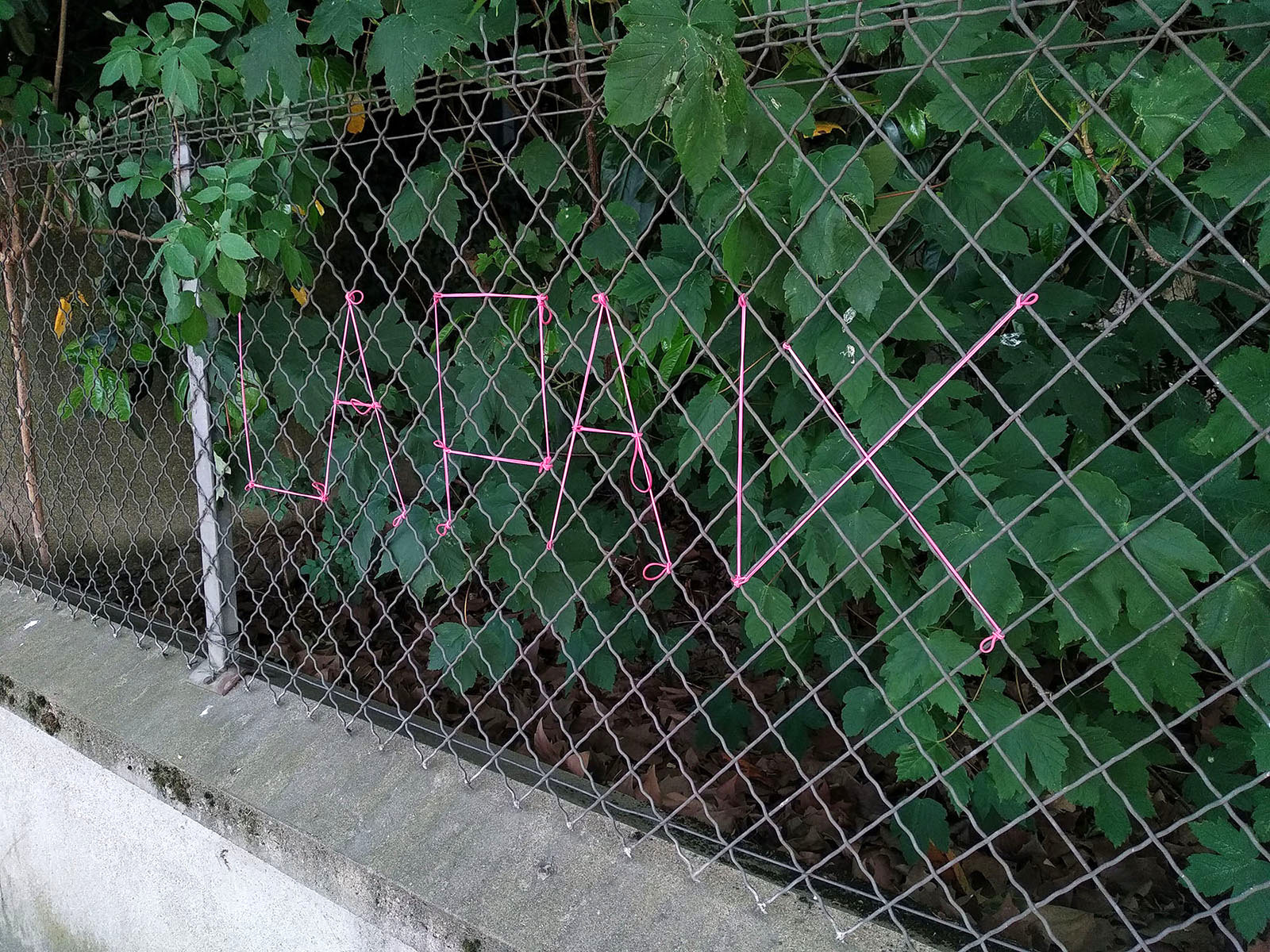 LA PAIX in pink cord on a wire fence